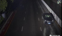 张家界司机爆料视频最新,揭秘景区交通乱象背后的真相