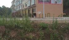 老安岳最新爆料,揭秘娱乐圈惊天秘密